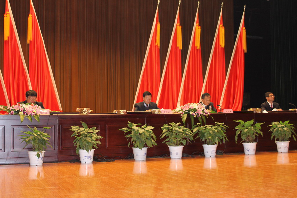 江蘇省金陵建工集團(tuán)生產(chǎn)工作暨2011年總結(jié)表彰大會